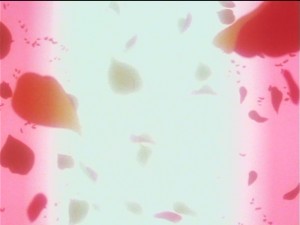 screenshot-anime-sailor-moon-sailor-stars-episode-200-008.JPG