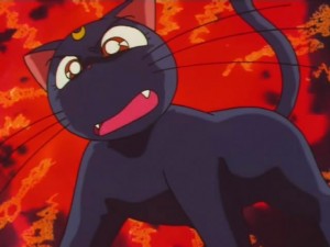 screenshot-anime-sailor-moon-super-s-episode-133-072.jpg