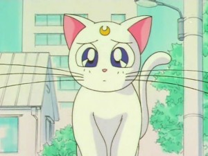 screenshot-anime-sailor-moon-super-s-episode-133-221.jpg