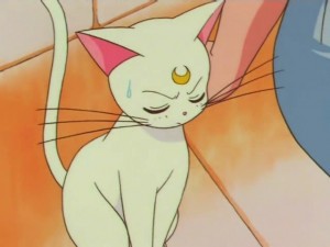 screenshot-anime-sailor-moon-super-s-episode-141-083.jpg