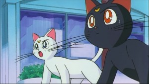 Sailormoon-R (764).jpg