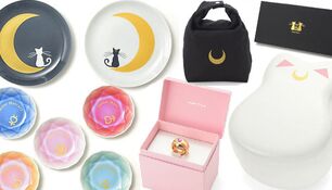 Товары к сотрудничеству СМ и "Floyd"