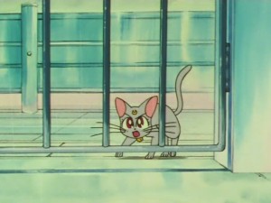 sailormoon-supers-142 (50).jpg