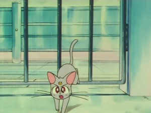 sailormoon-supers-142 (51).jpg