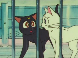sailormoon-supers-142 (60).jpg