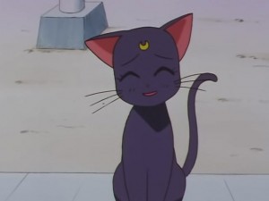 screenshot-anime-sailor-moon-sailor-stars-episode-178-098.JPG
