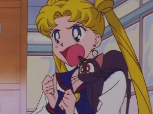screenshot-anime-sailor-moon-sailor-stars-episode-178-558.JPG