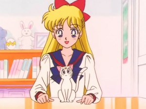 screenshot-anime-sailor-moon-sailor-stars-episode-192-486.jpg