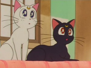 screenshot-anime-sailor-moon-super-s-episode-137-224.jpg
