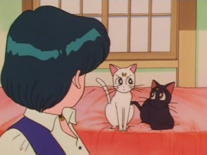 screenshot-anime-sailor-moon-super-s-episode-137-229.jpg
