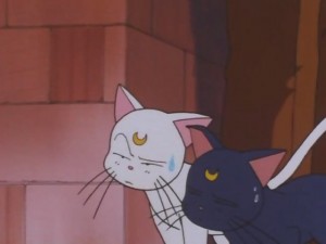 screenshot-anime-sailor-moon-super-s-episode-146-300.JPG