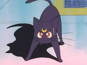 "Секрет" из 13 эпизода