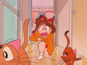 "Секрет" из 91 эпизода