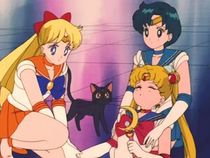 "Секрет" из 35 эпизода