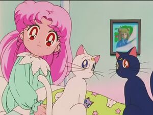 "Секрет" из 81 эпизода