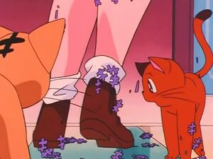 "Секрет" из 91 эпизода